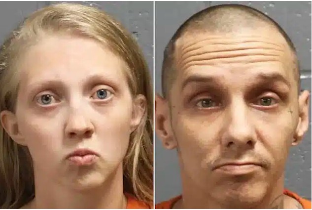 Ekran Görüntüsü 2025 12 11 235524