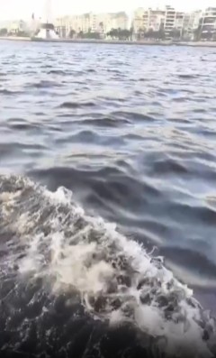 Ekran Görüntüsü 2025 12 22 185833