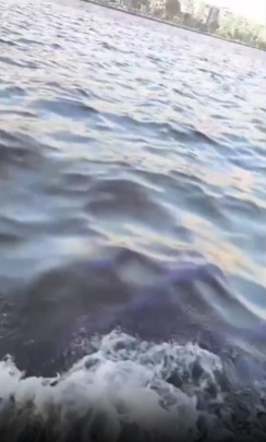 Ekran Görüntüsü 2025 12 22 185855