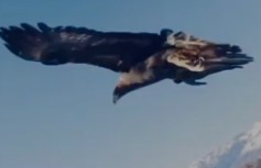 Ekran Görüntüsü 2025 12 23 202126