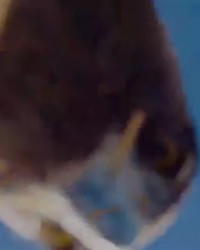 Ekran Görüntüsü 2025 12 23 202232