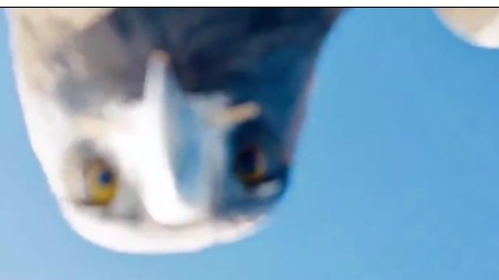 Ekran Görüntüsü 2025 12 23 202319