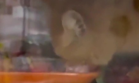 Ekran Görüntüsü 2025 12 25 220453