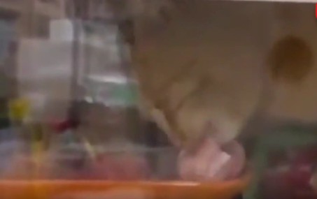 Ekran Görüntüsü 2025 12 25 220516