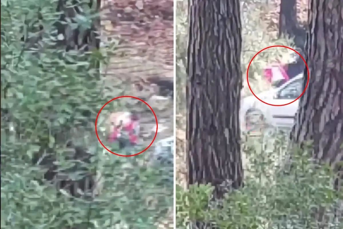 Goruntu Izmir Den Sesleri Duyup Once Kayda Aldi 19318456 3356 Amp