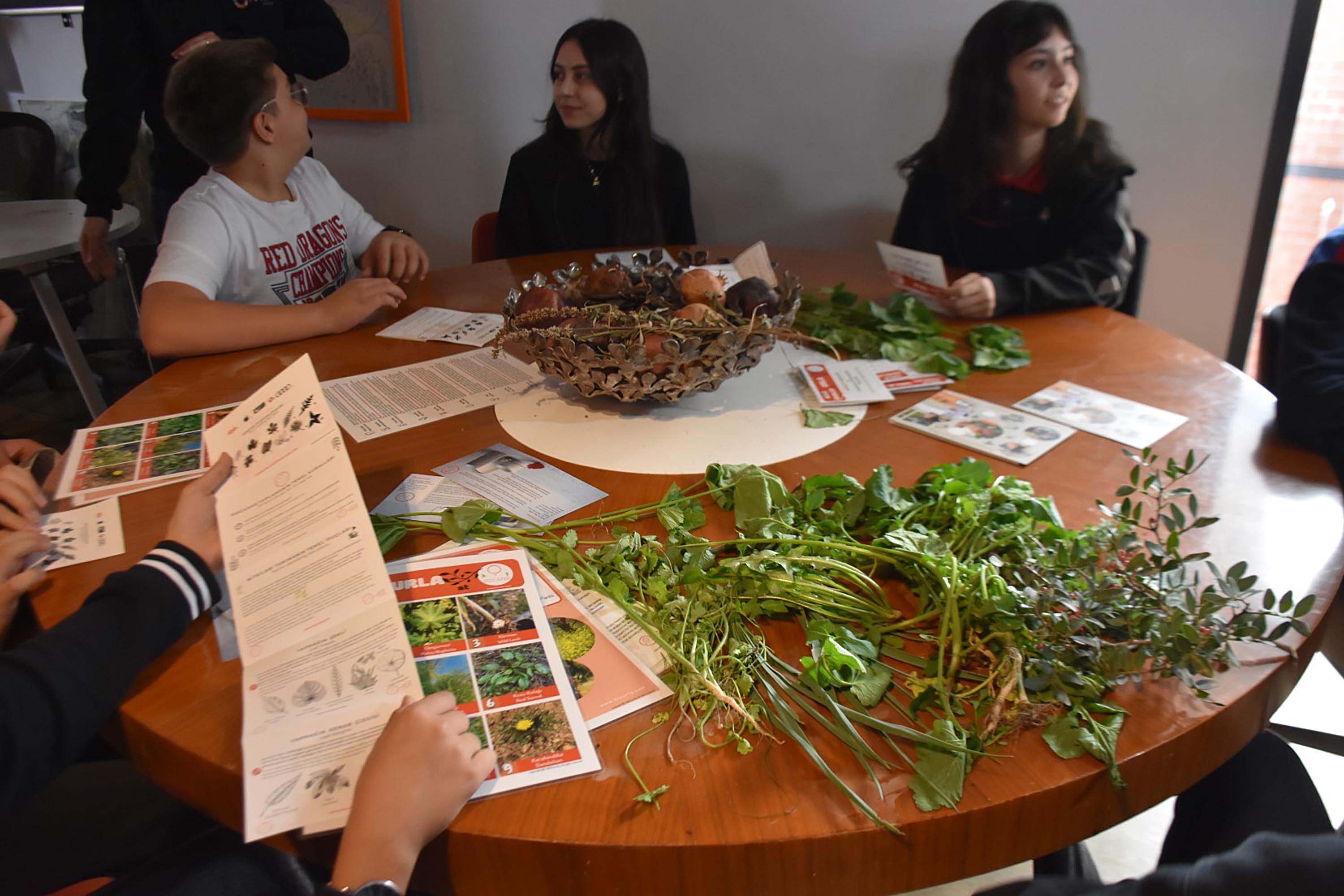 L I S E L I L E R G I D A K R I Z I N E K A R S I Y E N I L E B I L I 1060978 314867