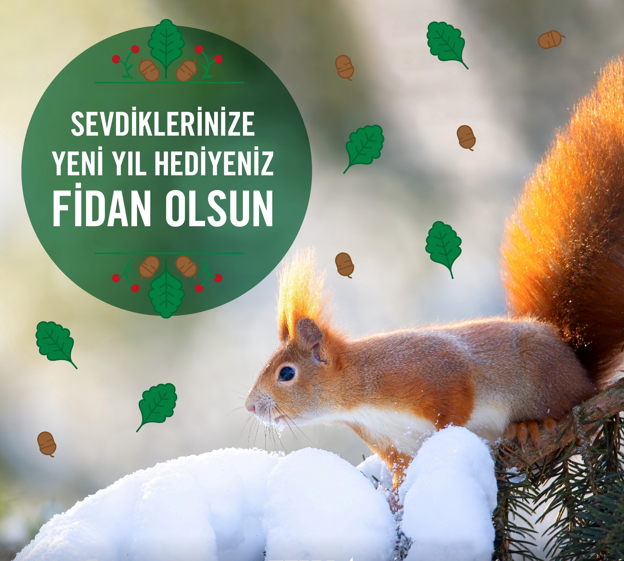 Ormanlara Hayat Verelim