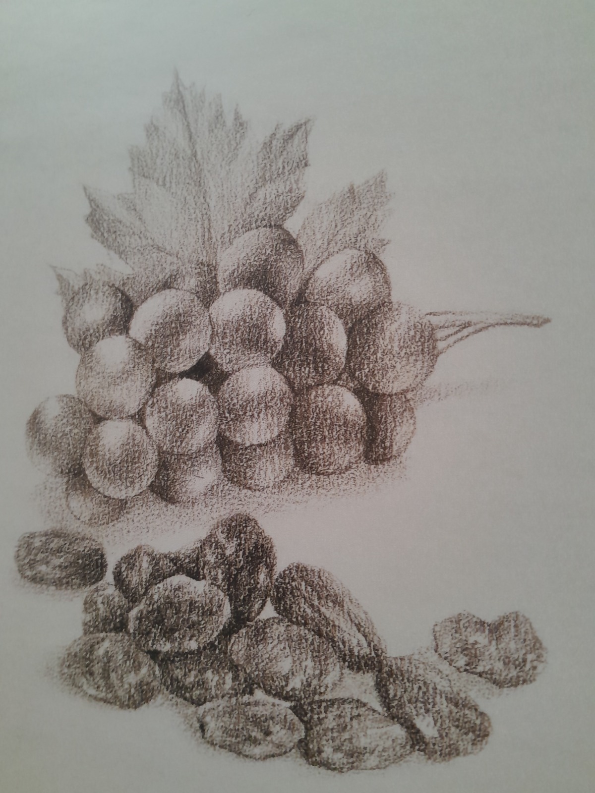 Whatsapp Image 2025 12 22 At 15.12.30