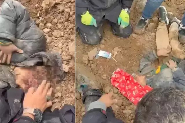 Yegenini Diri Diri Topraga Gomen Dayidan Ilk Ifade 19334833 4550 M