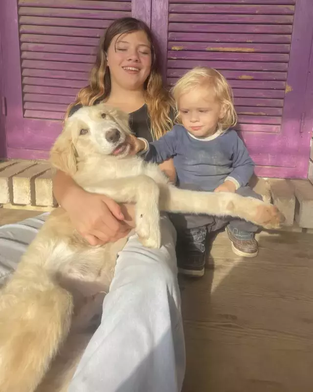 Yunanistan Da Pitbull Dehseti 2 Yasindaki Cocuk 19336583 9566 M