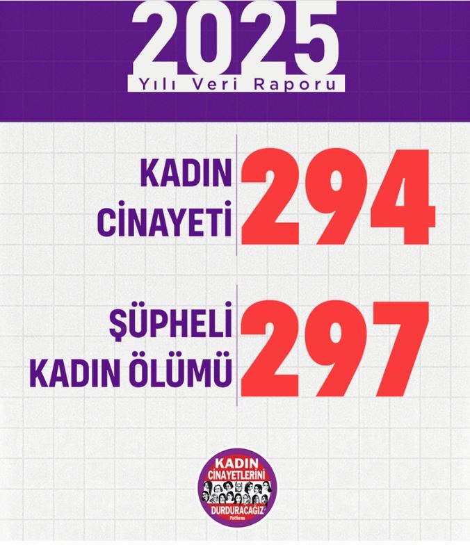 2025 Kadın Cinayet Sayı