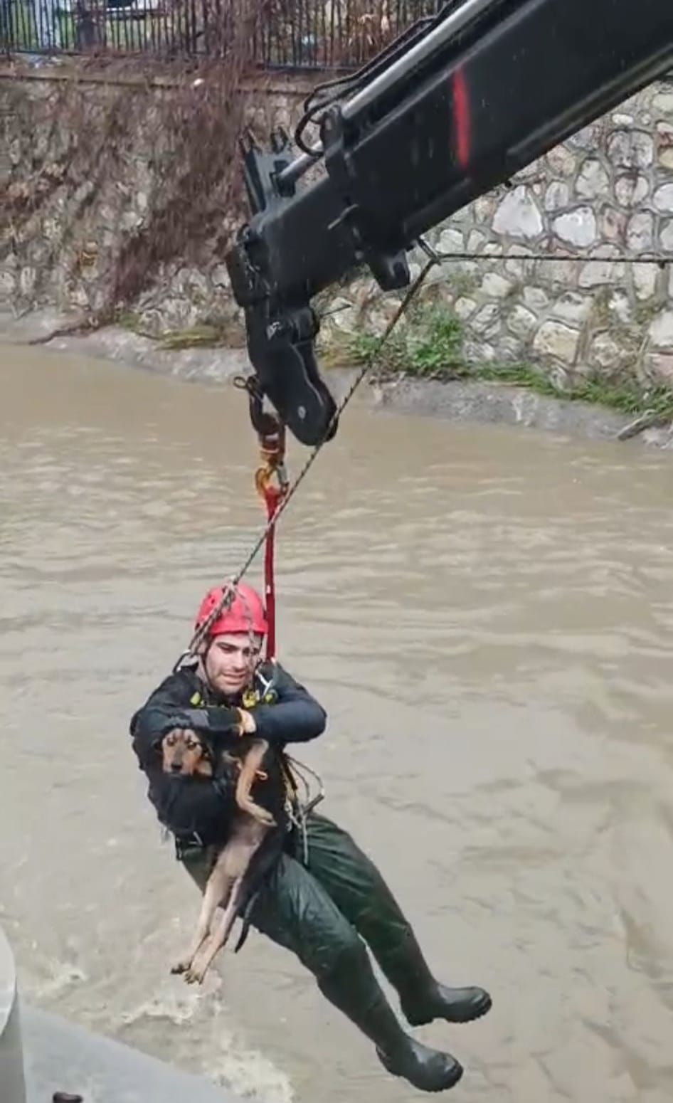 3.01.2026 7D254F82 9A0F 4Cb8 97D1 Af2Dc2Ef1250