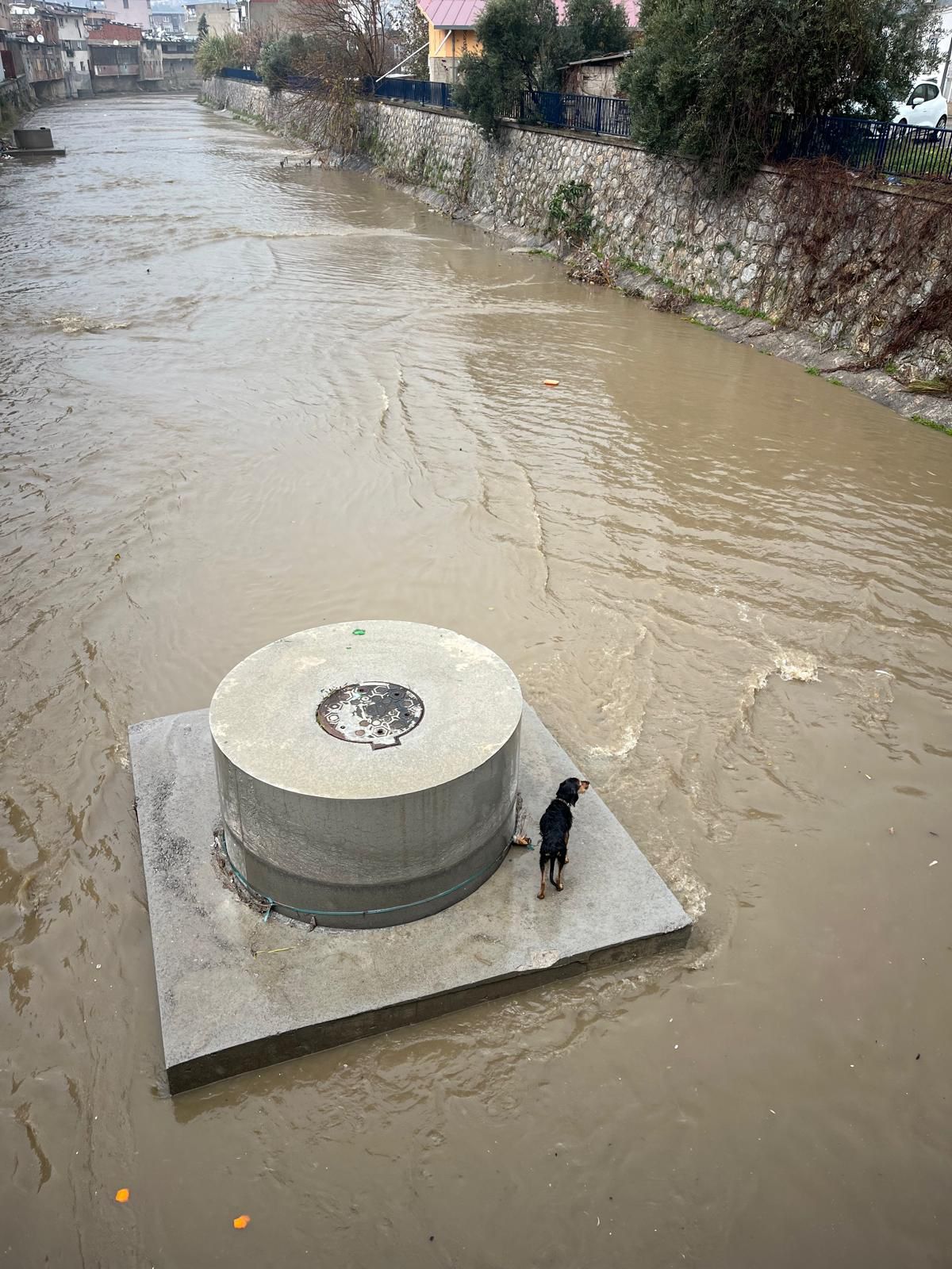 3.01.2026 C56750C3 6Cf2 4693 8B44 5D66466Deb97