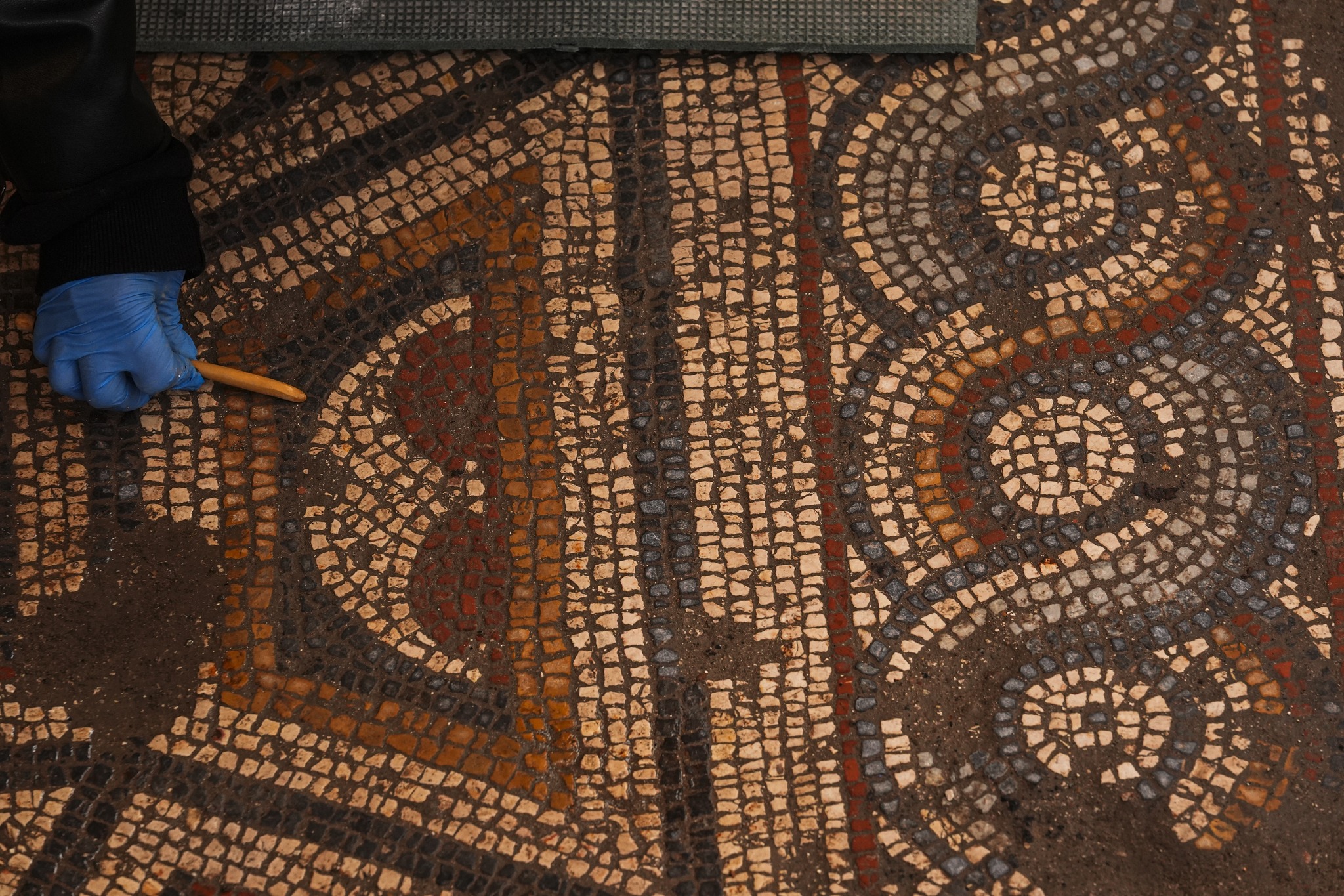 611598219 1453531833442051 1258723835250088431 N