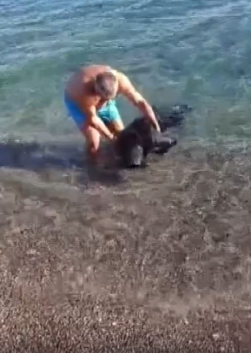 615825879 1463349352462193 5549718127402821618 N