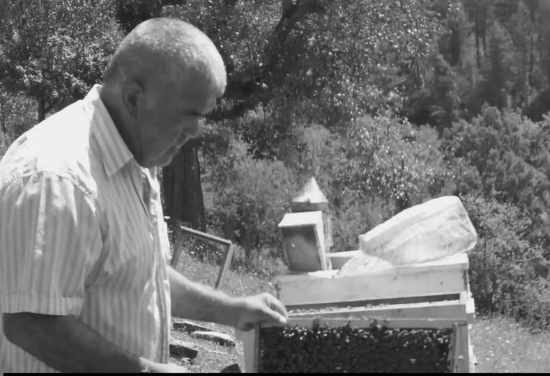 616818275 122105311791204976 4597697614735200229 N