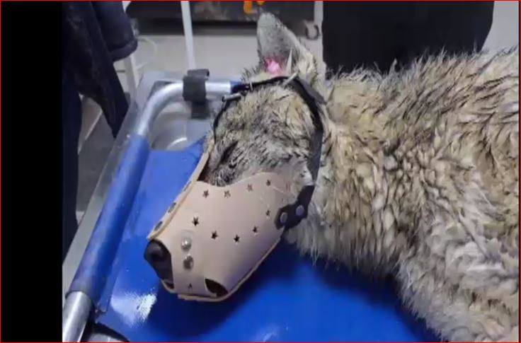 618916056 1475778011220984 6098827696140300756 N