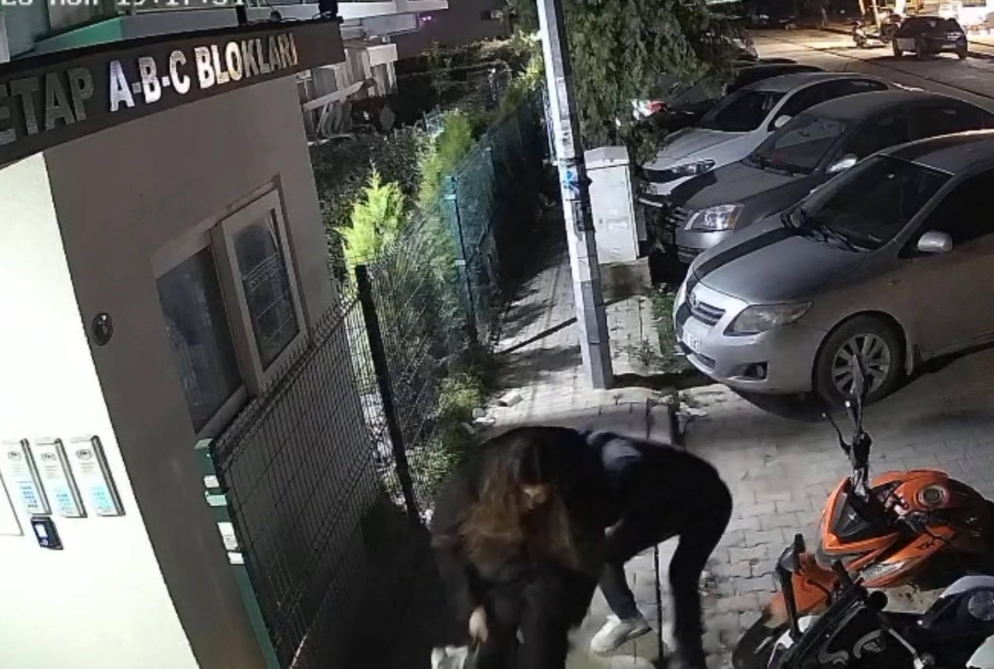 619124179 1478379307627521 7196130799871313064 N