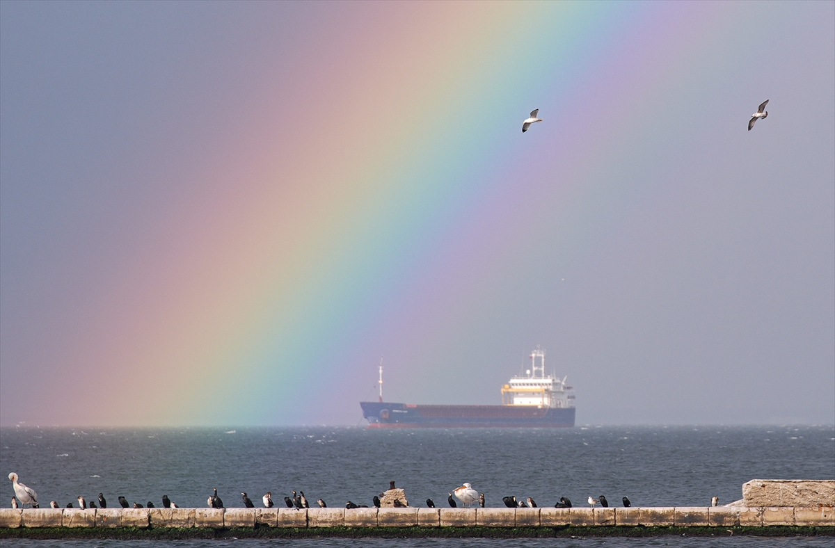 A A 20260103 40147790 40147785 I Z M I R D E G O K K U S A G I-1