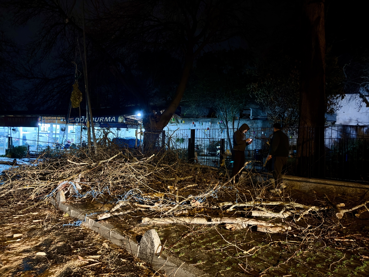 A A 20260107 40190821 40190819 I Z M I R D E D E V R I L E N A G A C P A R K H A L I N D E K I O T O M O B I L E V E I S L E T M E Y E Z A R A R V E R D I