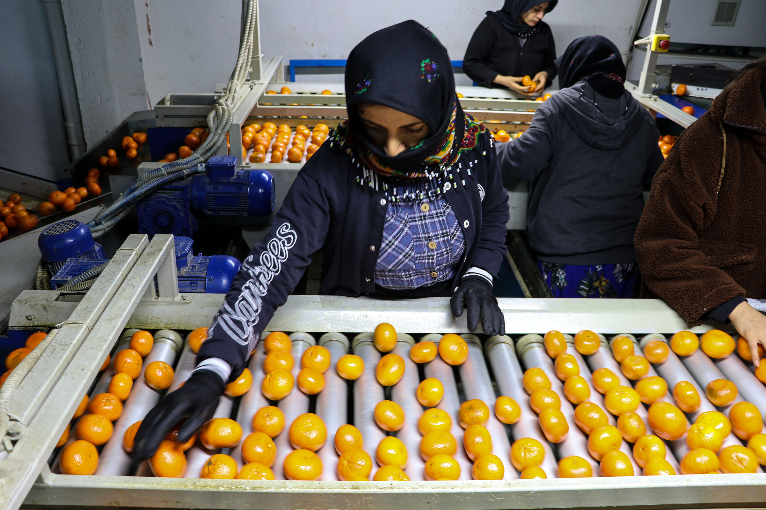 A A 20260125 40359339 40359332 N A R E N C I Y E I H R A C A T I 2025 T E T U R K I Y E Y E 1 M I L Y A R 477 M I L Y O N 58 B I N D O L A R K A Z A N D I R D I