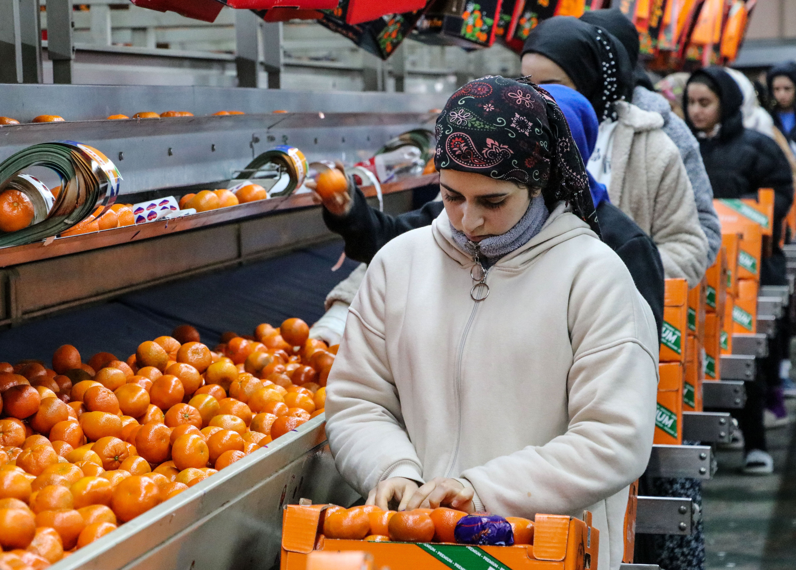 A A 20260125 40359339 40359333 N A R E N C I Y E I H R A C A T I 2025 T E T U R K I Y E Y E 1 M I L Y A R 477 M I L Y O N 58 B I N D O L A R K A Z A N D I R D I