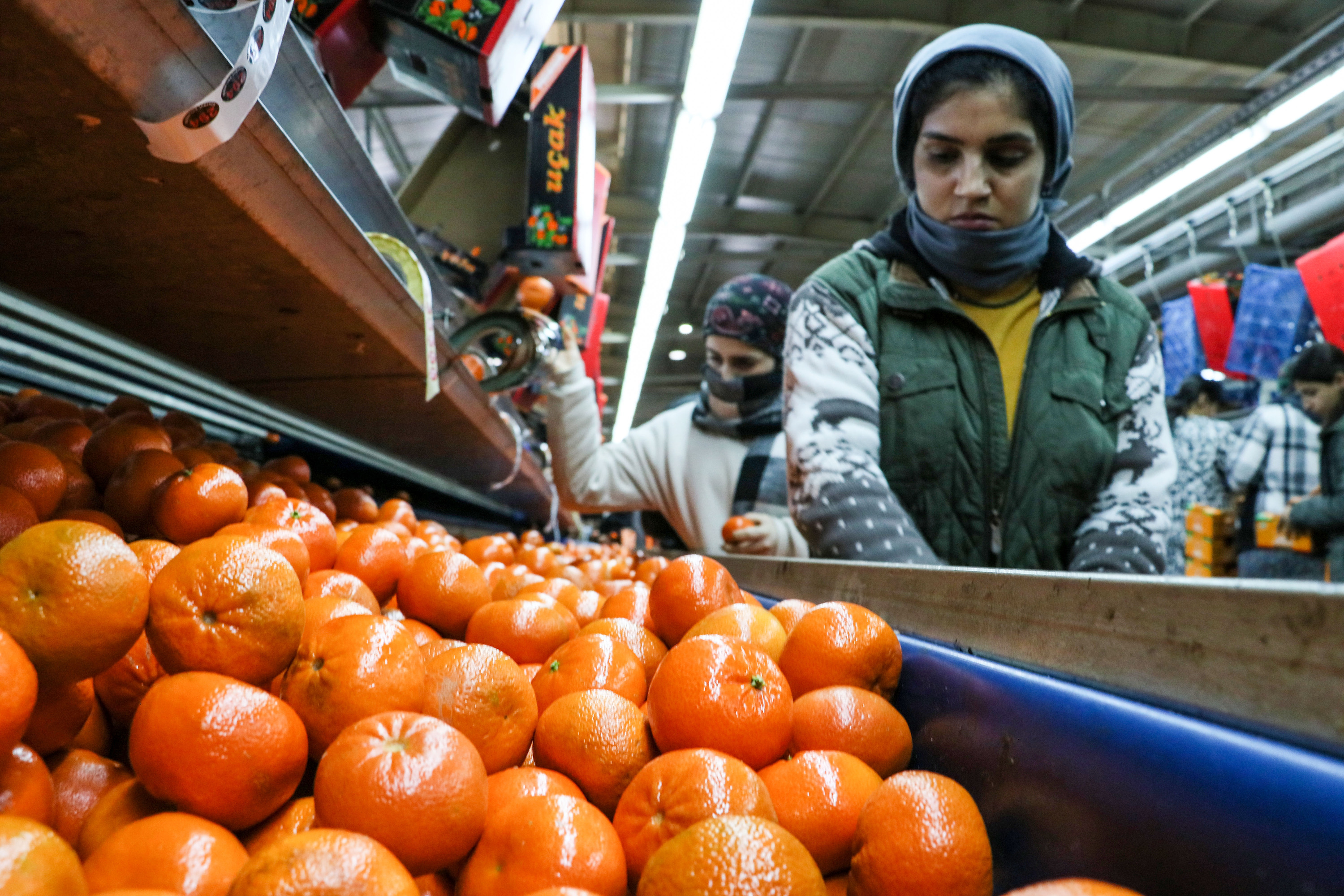 A A 20260125 40359339 40359334 N A R E N C I Y E I H R A C A T I 2025 T E T U R K I Y E Y E 1 M I L Y A R 477 M I L Y O N 58 B I N D O L A R K A Z A N D I R D I