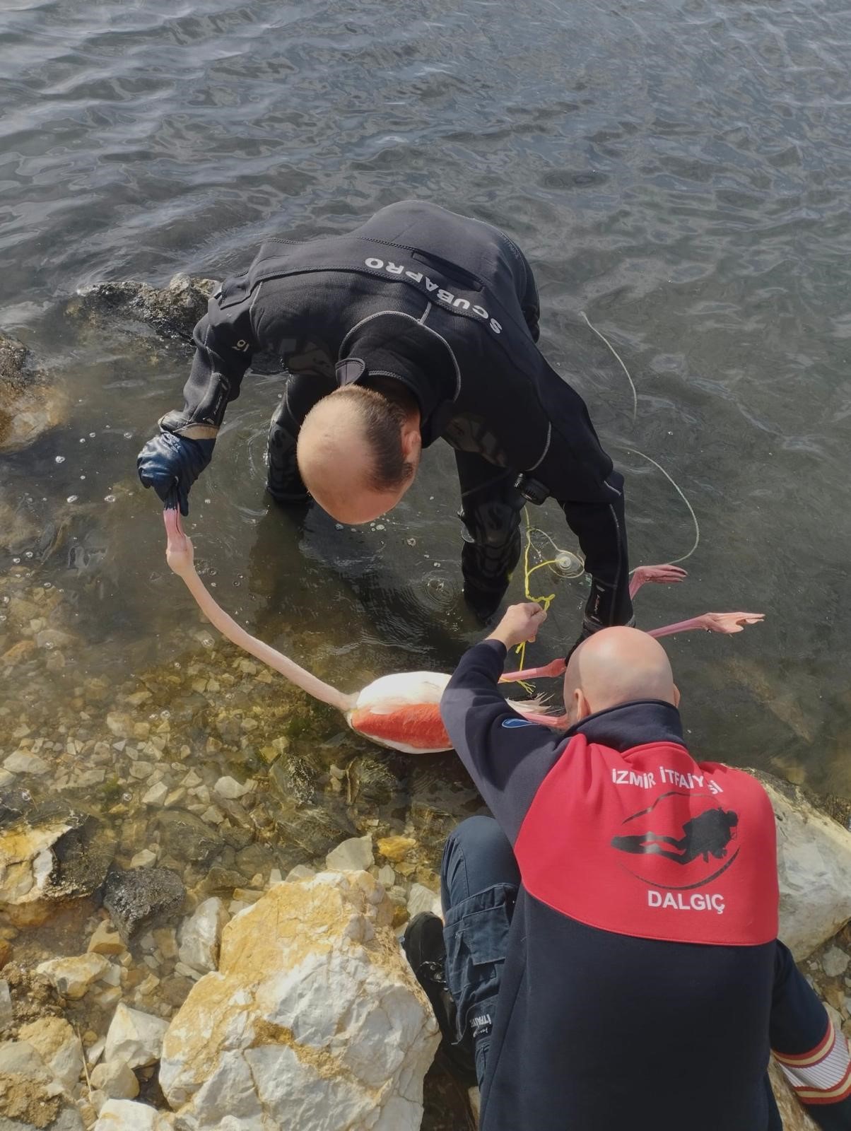 A A 20260129 40396633 40396632 I Z M I R D E V U C U D U N A I P D O L A N A N F L A M I N G O K U R T A R I L D I