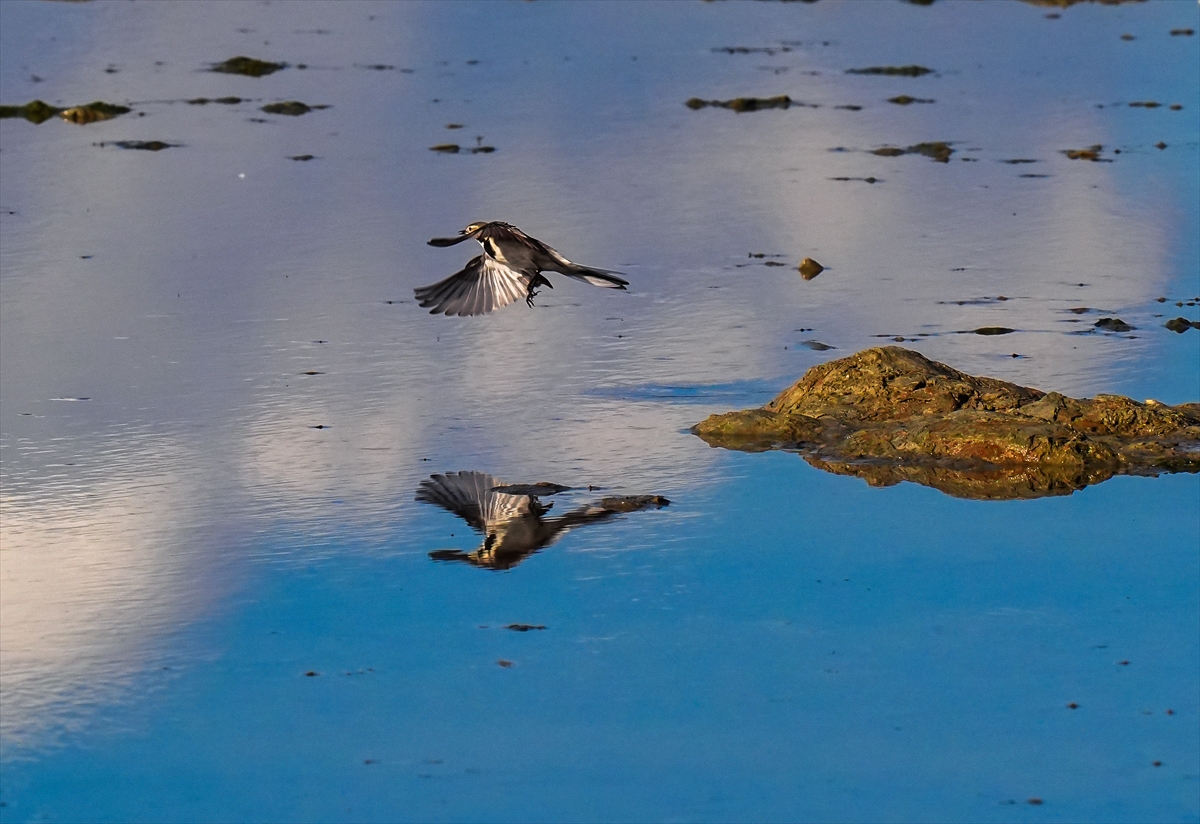 A A 20260131 40415151 40415150 K U R A K L I K G E D I Z D E L T A S I N D A K I R L I L I G I N E T K I S I N I A R T I R I Y O R