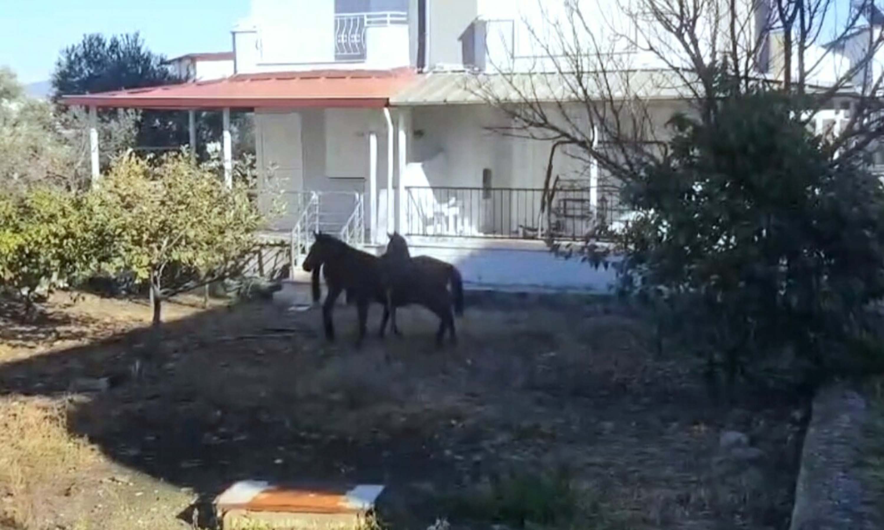 A Y D I N D A A C K A L A N Y I L K I A T L A R I S E H I R M E 1095561 325213