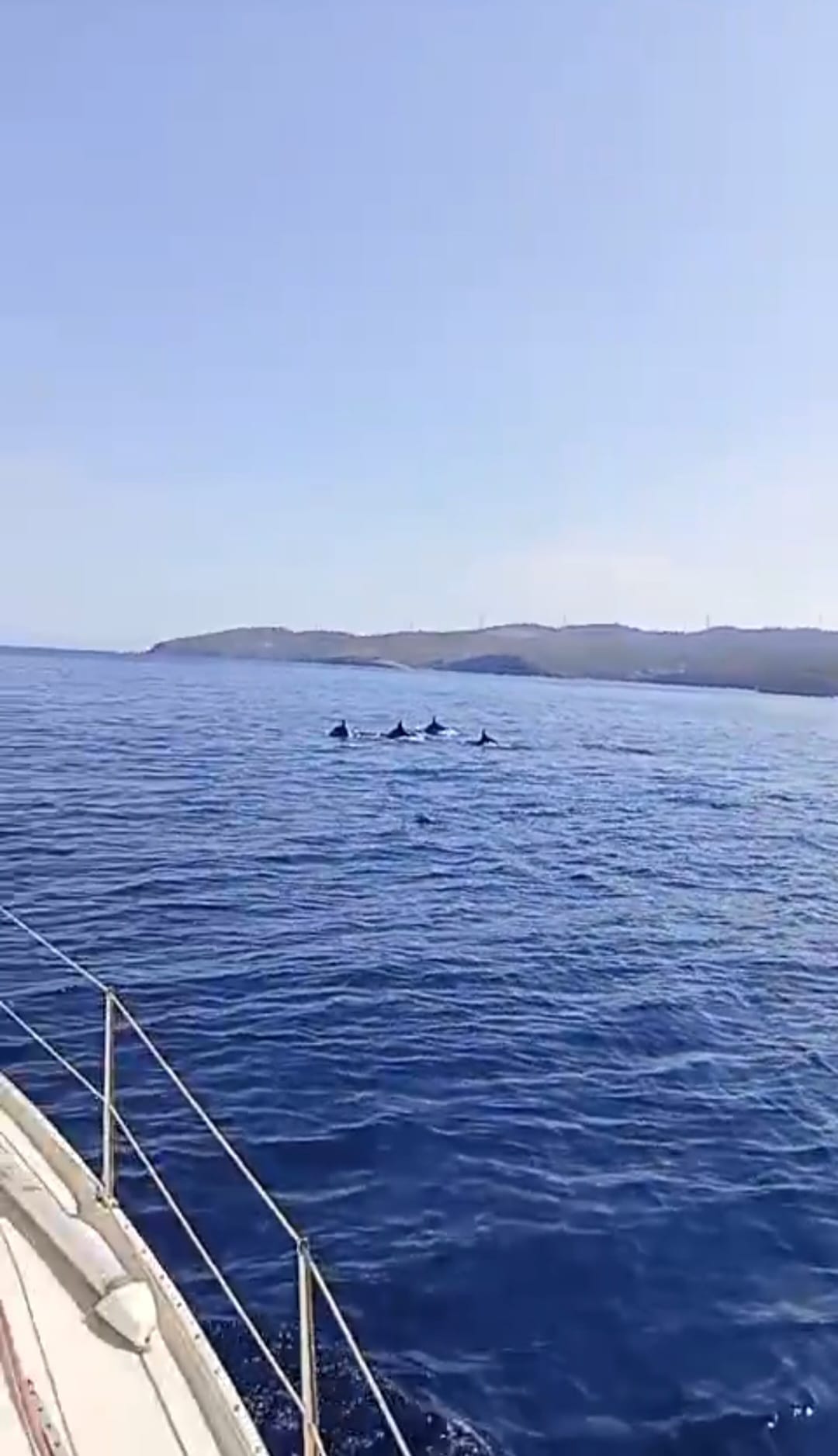 C552F7D2 67D1 4563 Bcf8 7D1280D41Ffe