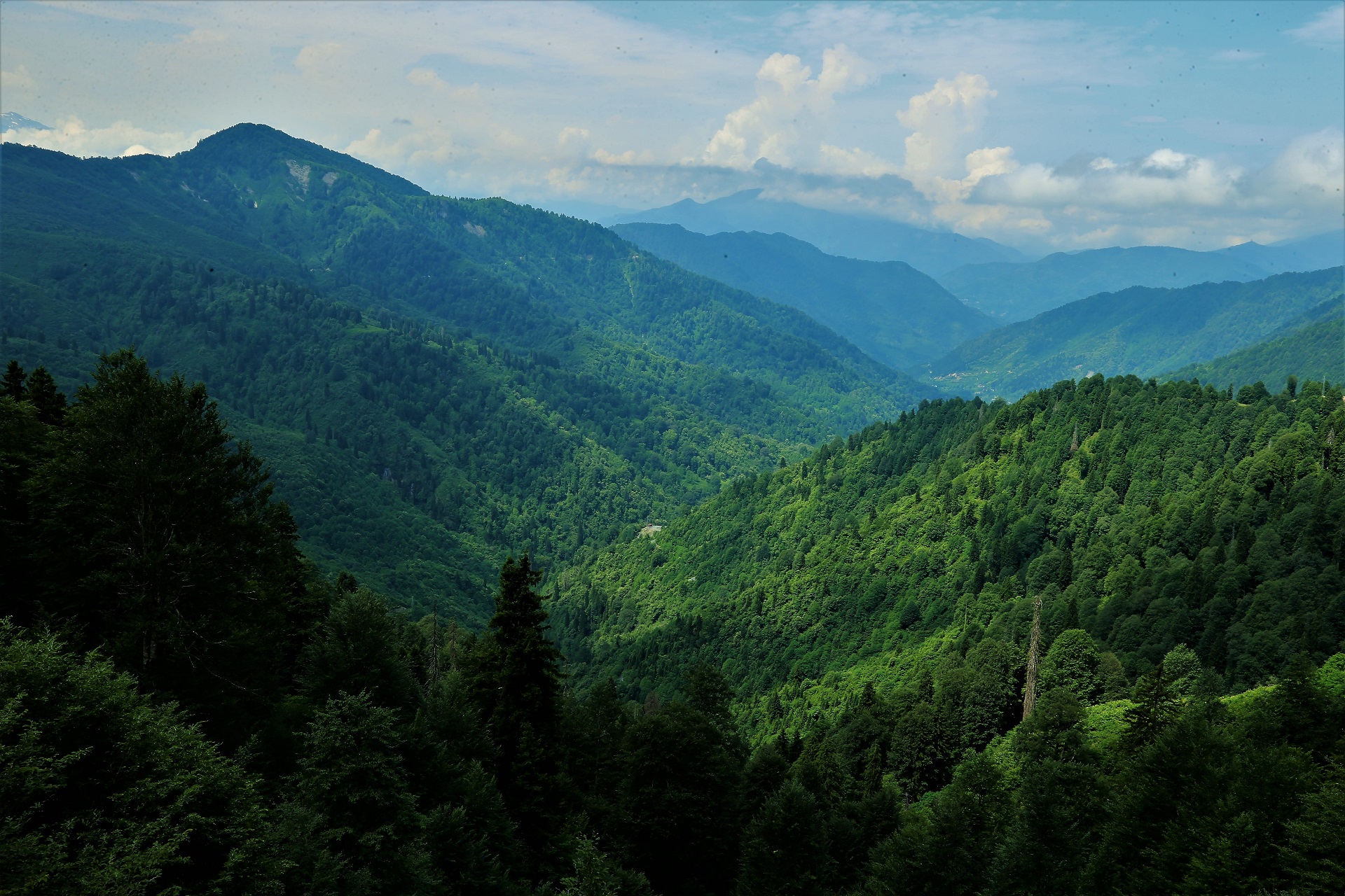 Candostlar A N A G O R S E L Internete1-5