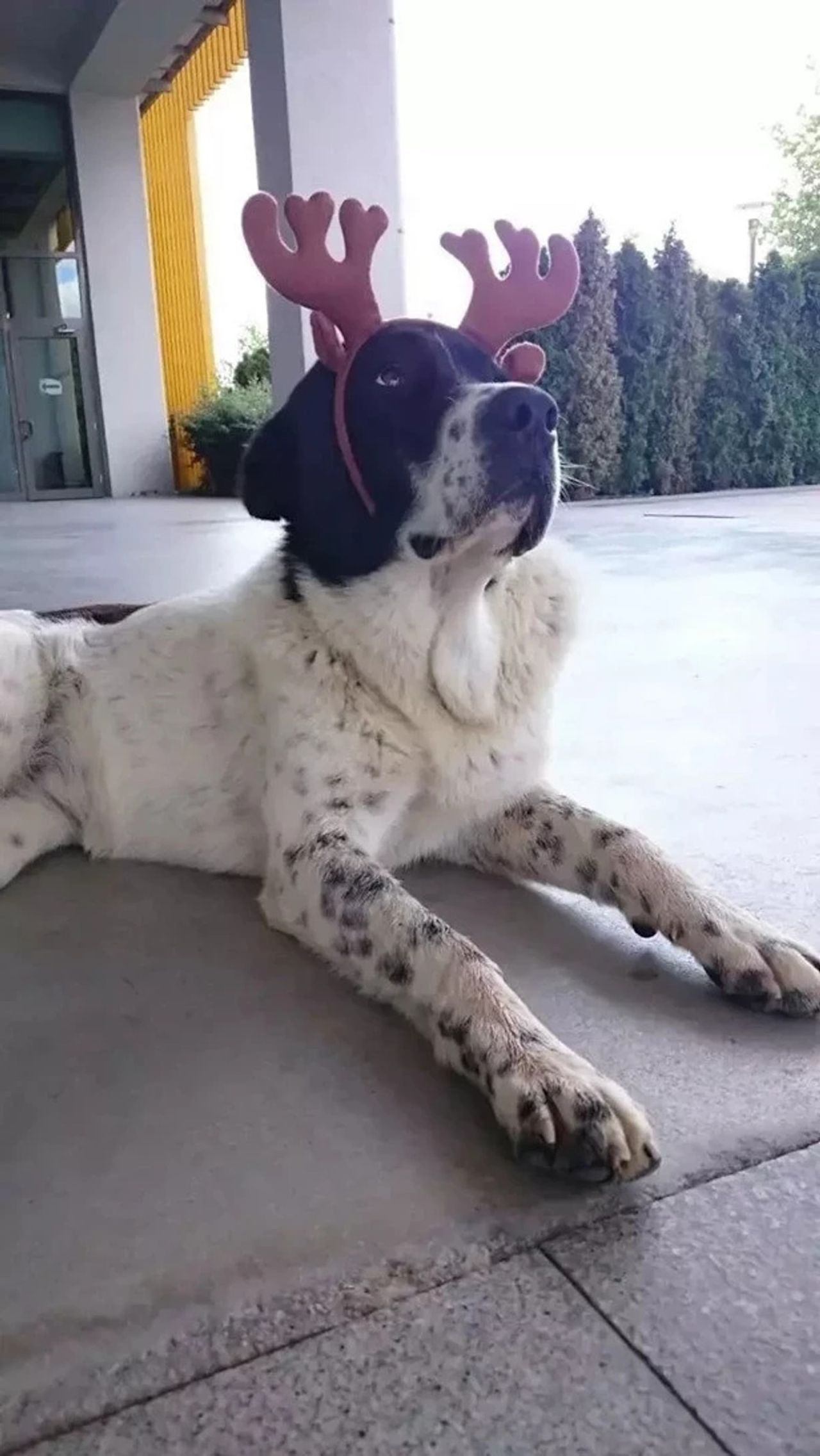 Candostlar Anagorsel Internete2 (1)