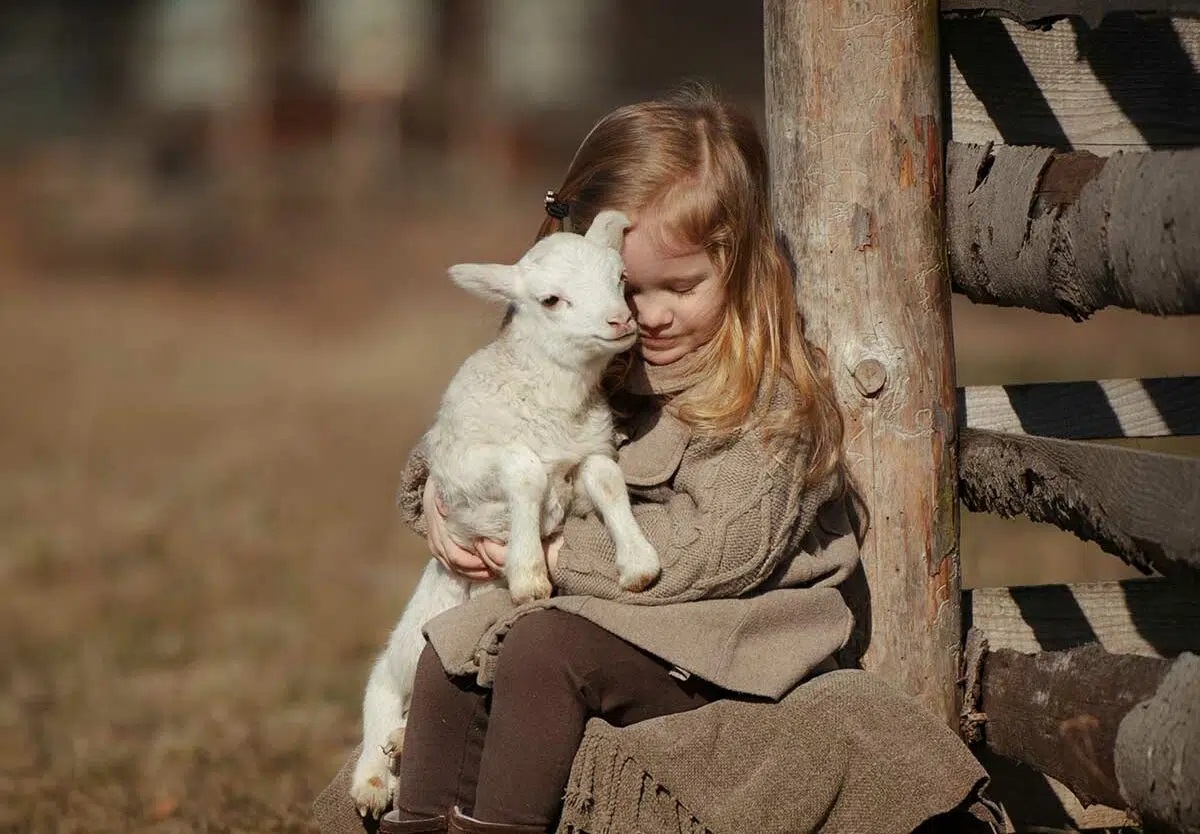 Candostlar K U L A G I M I Z A K U P E1-8