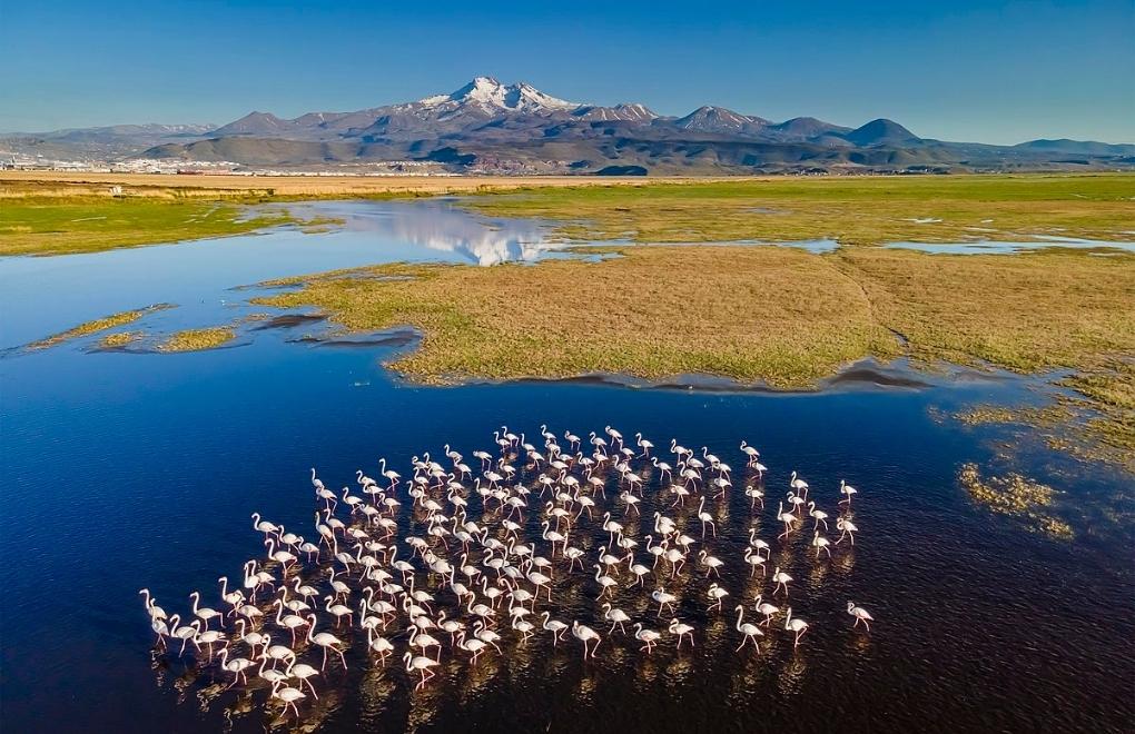 Candostlar S U L A K A L A N L A R Bizimgezegen