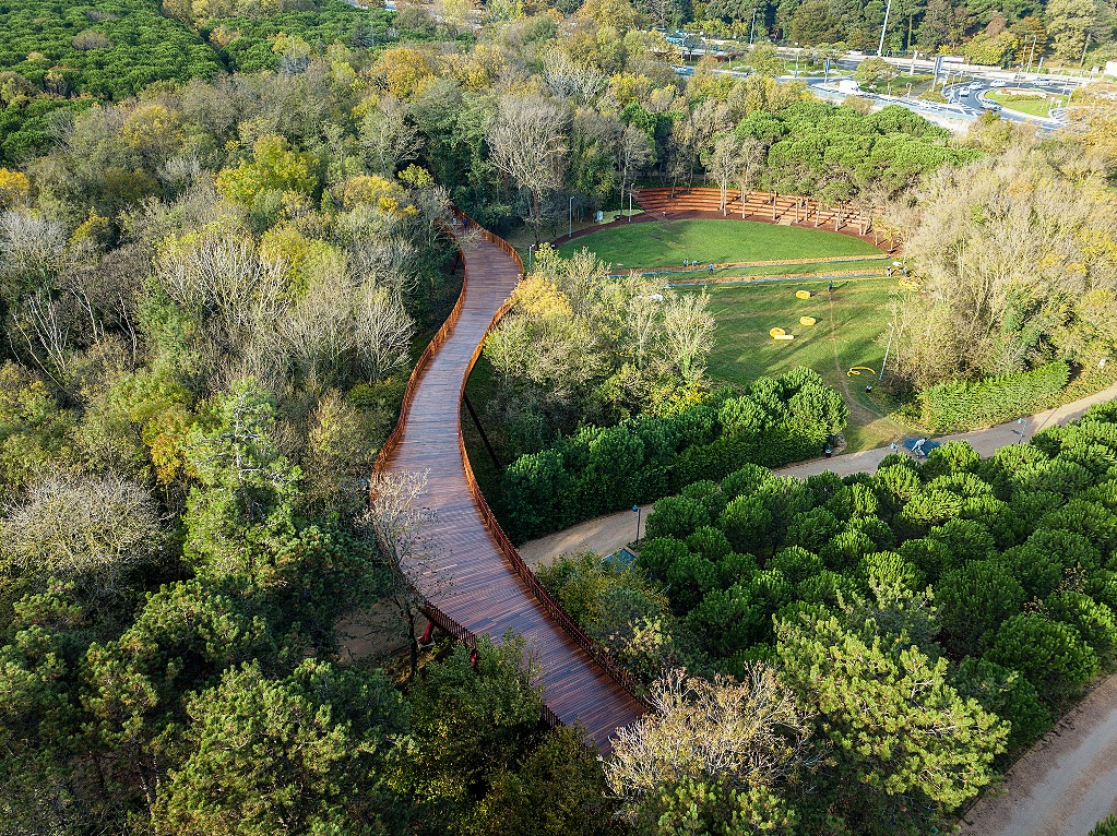 Doğa Ve Yeşi̇ller Ömrü Uzatiyor