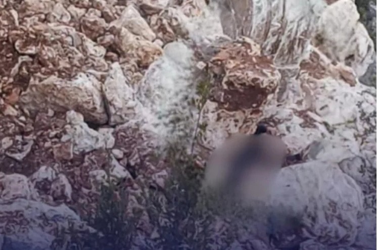 Ekran Görüntüsü 2026 01 07 211917