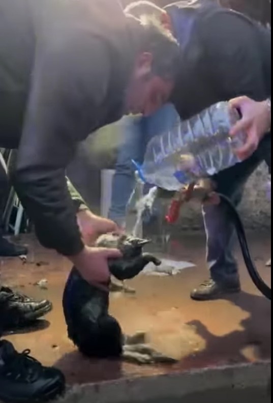 Ekran Görüntüsü 2026 01 13 194234