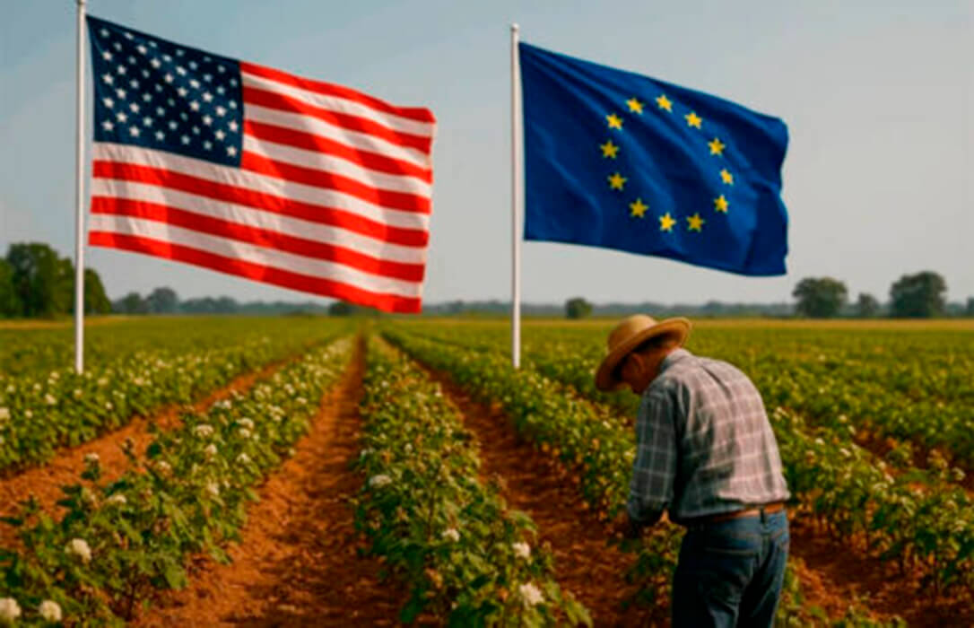 G M2C E T X E A A Qpg