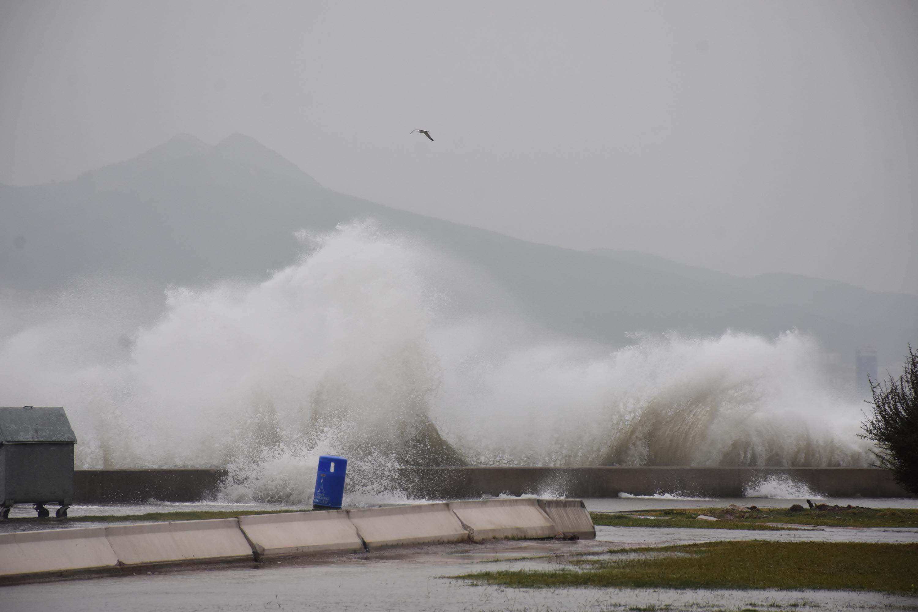 I Z M I R V E E G E D E N I Z I I C I N F I R T I N A U Y A R I 1126137 334194