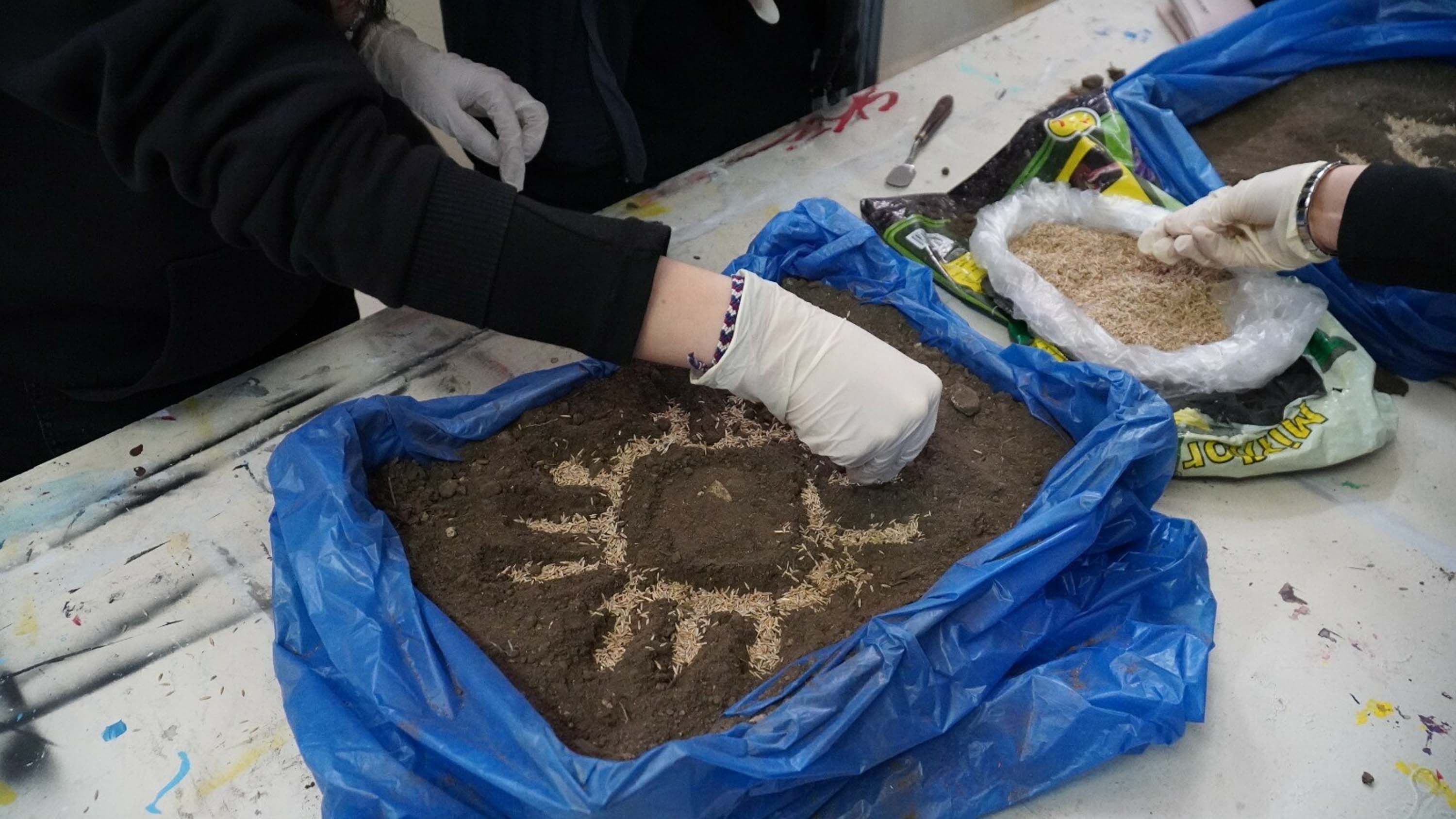 K U L T U R E L M I R A S I D O G A Y L A B U L U S T U R D U L A R 1109107 329244