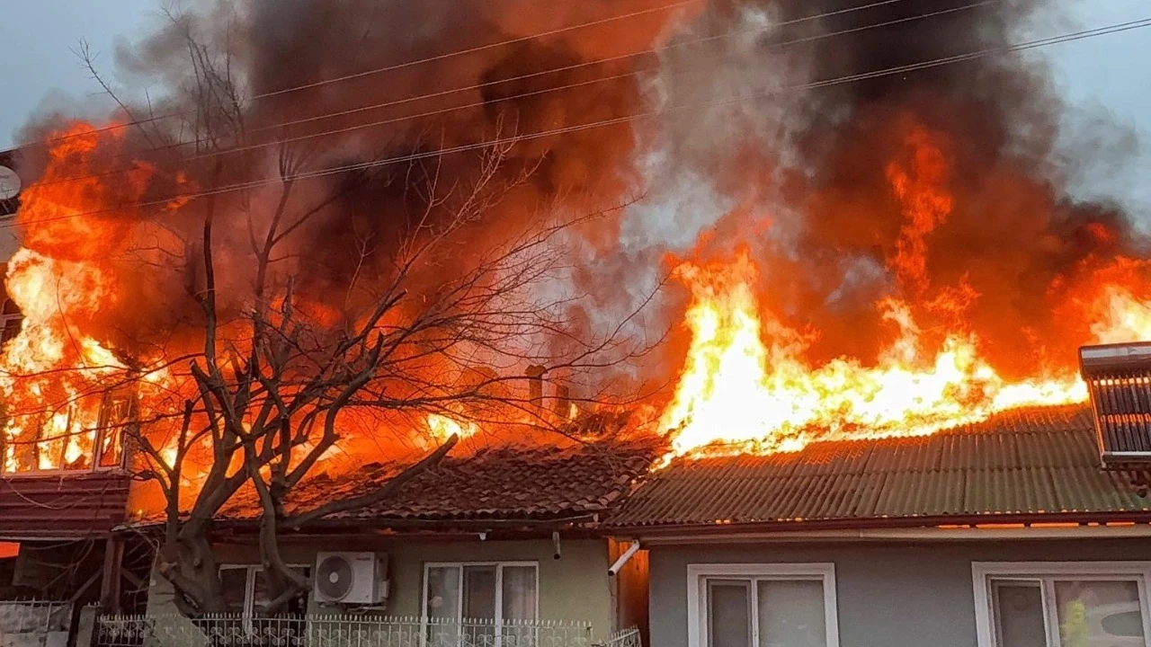Kediler Usumesin Diye Yakilan Soba Faciaya Donustu 1Bat (1)