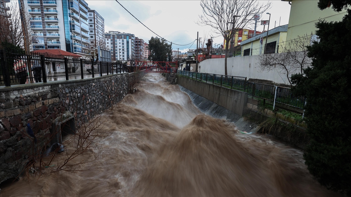 Thumbs B2 Cdc380F435579D8Eca0Ec1D44Fe15Ca9