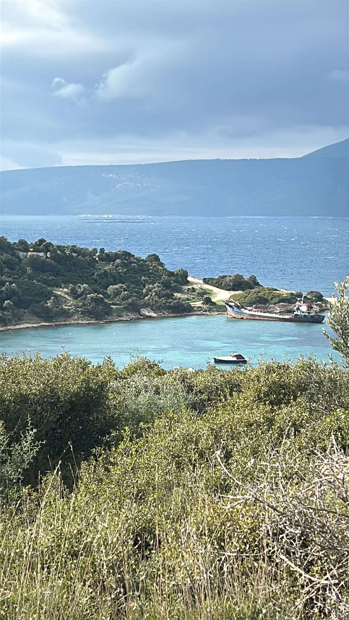 Whatsapp Image 2026 01 07 At 12.52.29