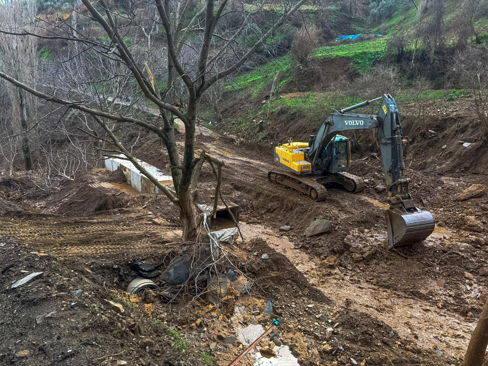 12.02.2026 Ace20C07 320E 4F42 8C0D 30Afd6D530Fb