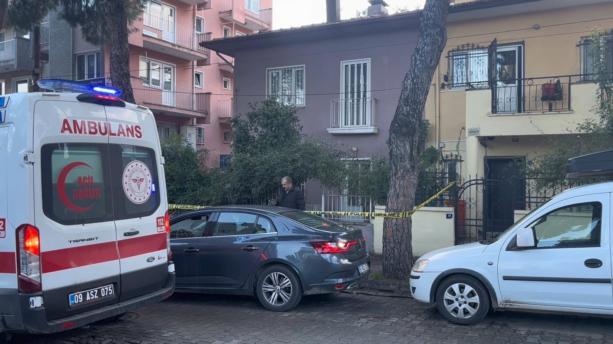 630336390 1493506332781485 1421671041572775742 N