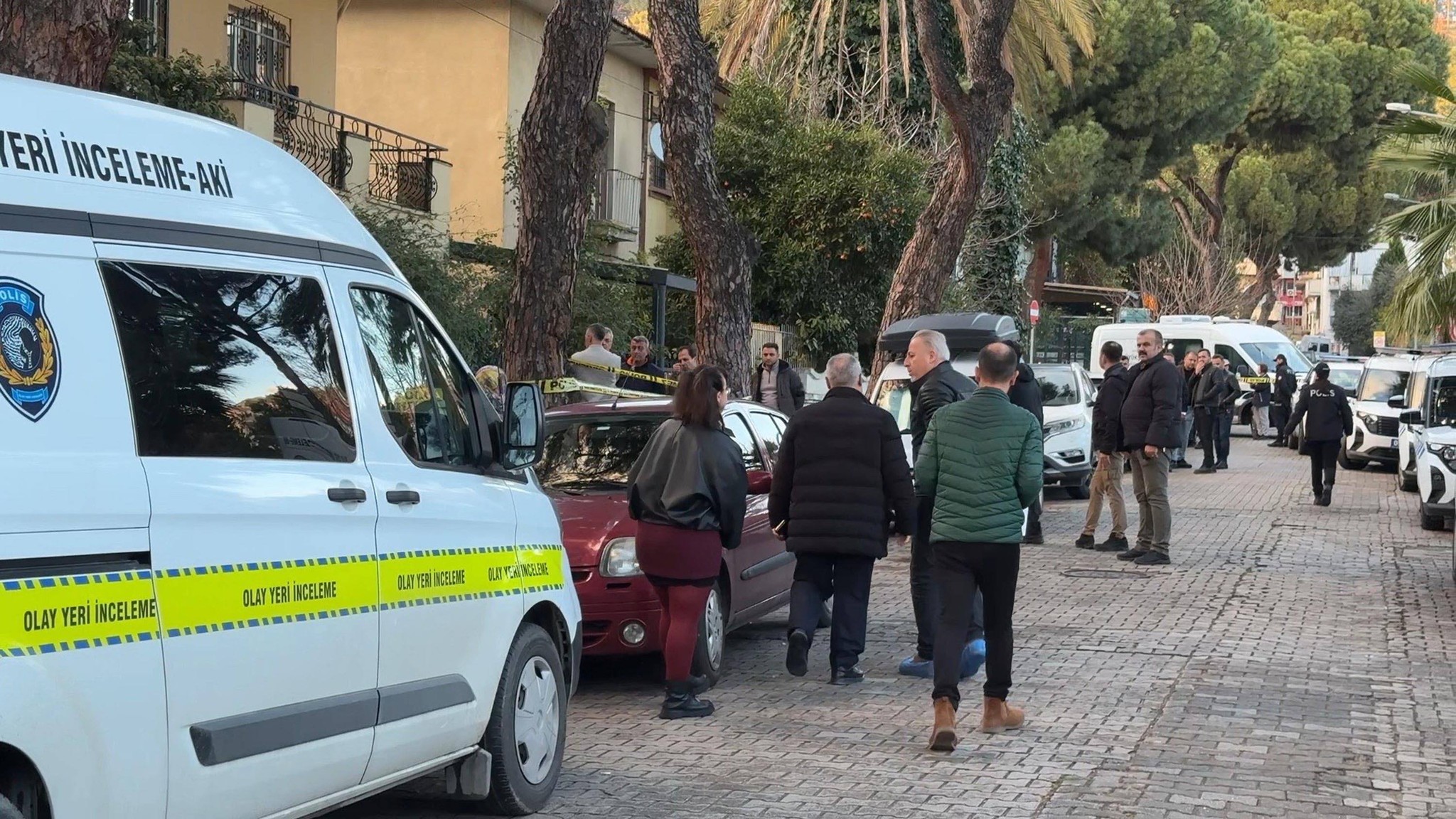 630443572 1493506159448169 1663776228272992297 N