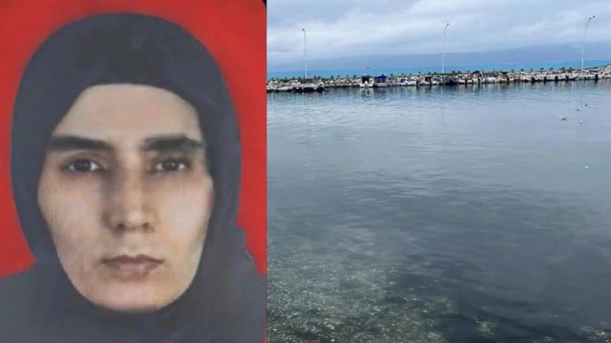 631474008 1207848178127102 2647843912418149799 N