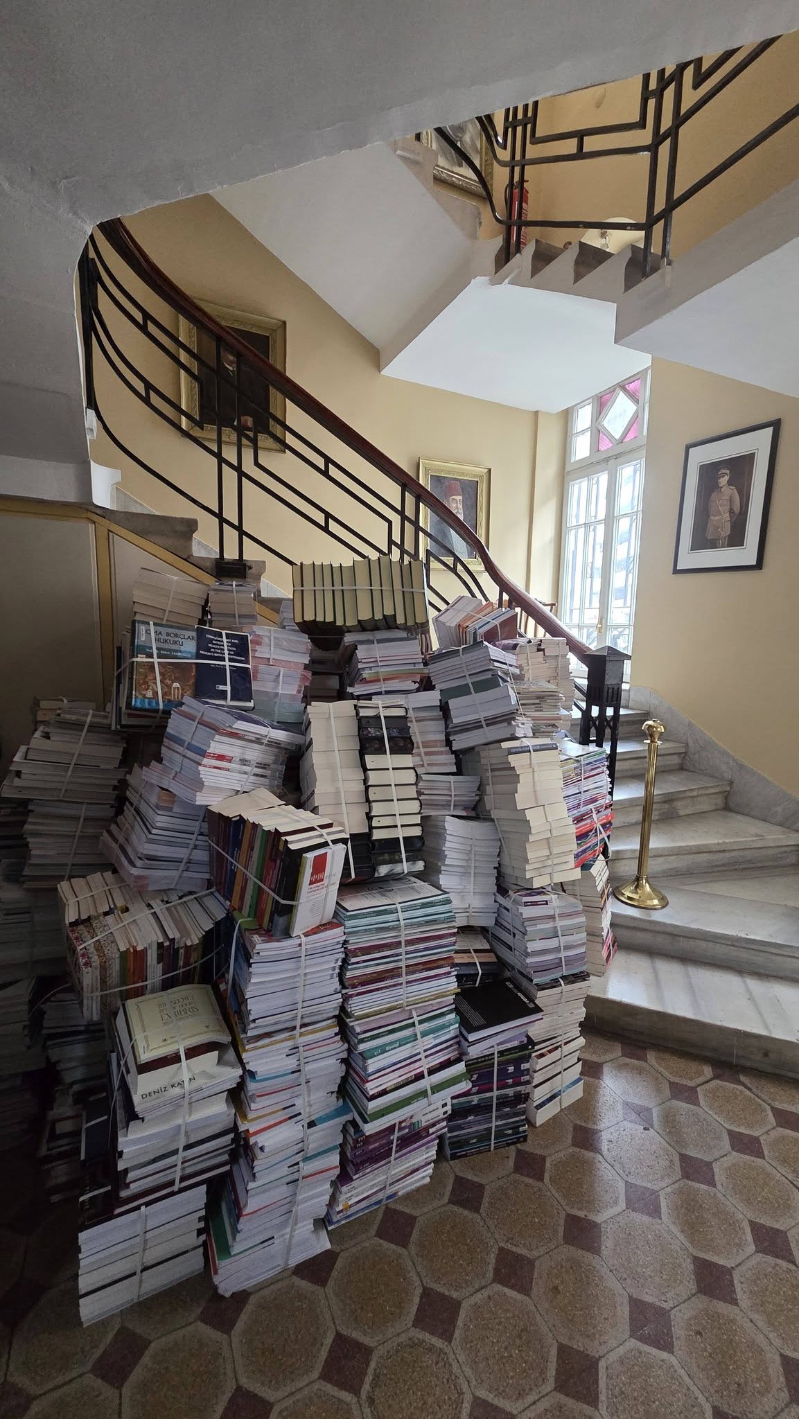 639324746 3318063111686428 4655885196248524158 N