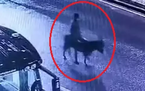 698B5Dc16A554F24E687F474